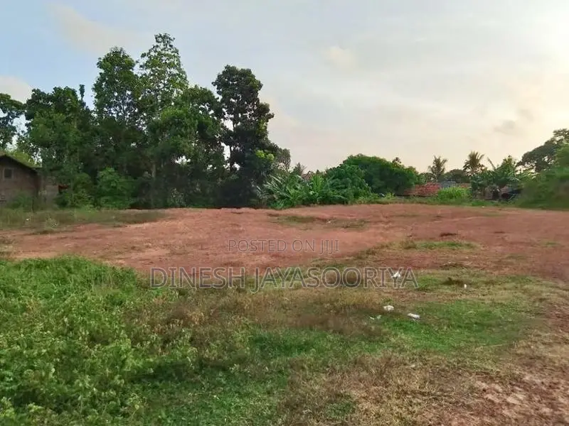 Prime 100 Perches Land for Sale in Ekala, Ja-Ela
