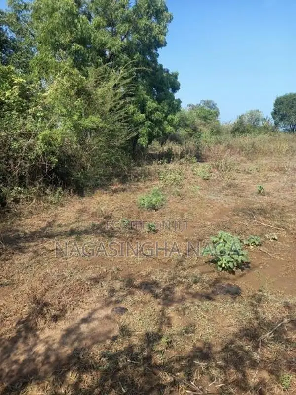 තනමල්විල ඉඩමක් විකිණීමට