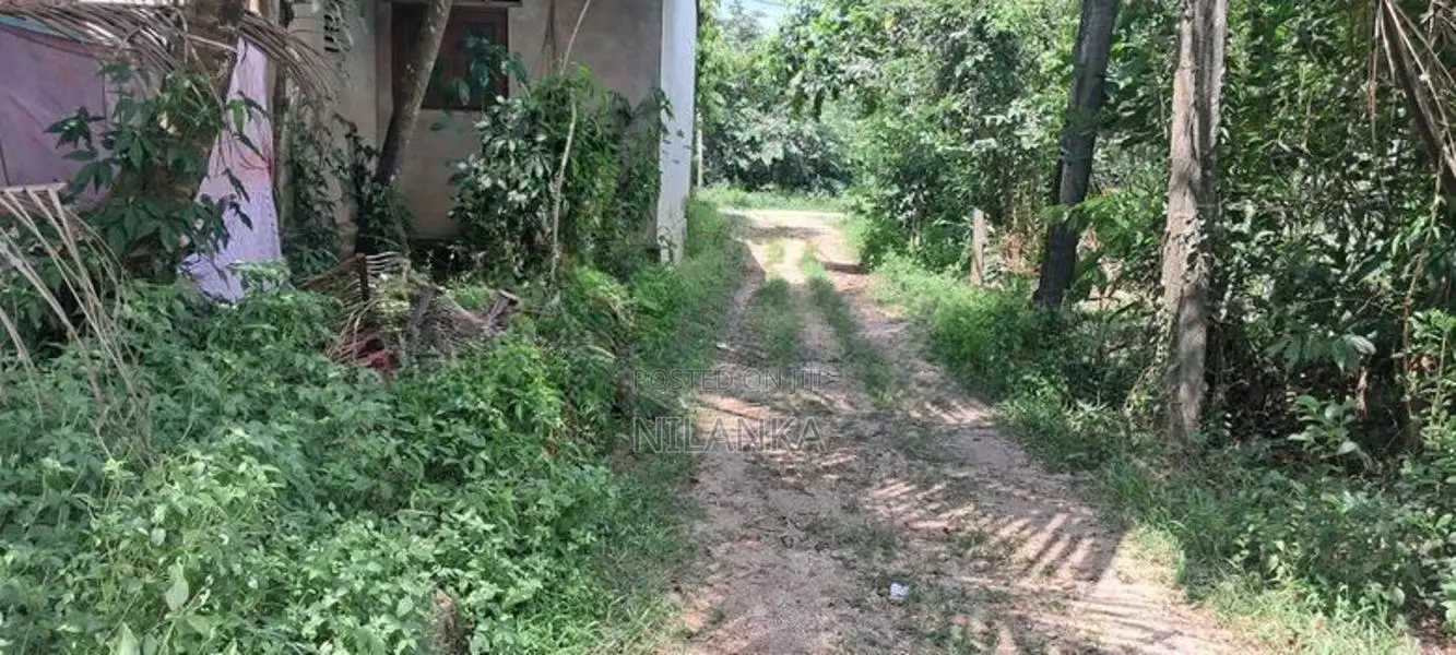 20 Perch Land Near CBL Ranala