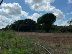 Land for sale in sigiriya
