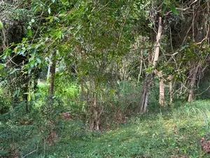 Land for Sale in Sigiriya