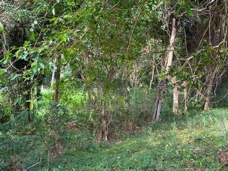 Land for Sale in Sigiriya