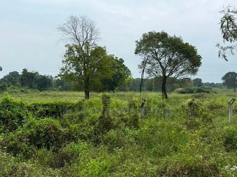 Land for Sale in Sigiriya