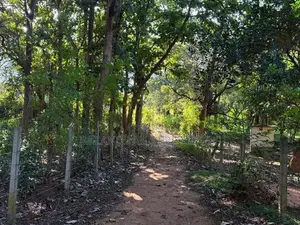Land for Sale in Habaran