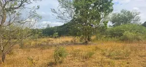 Land for Sale in Dambulla-දඹුල්ලෙන් ඉඩමක් විකිණීමට