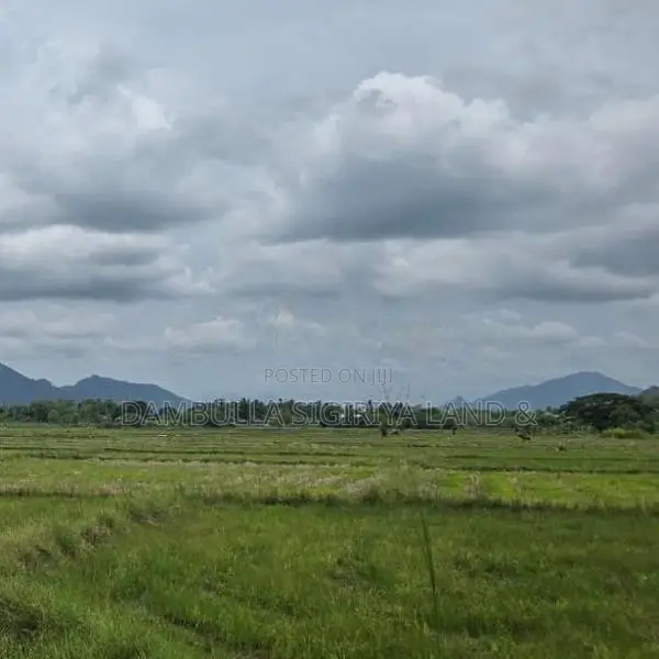 දඹුල්ල නගර මධ්‍යට ඉතාමත් සමීපයෙන් අනර්ග ඉඩමක්-Land for Sale in Dambull