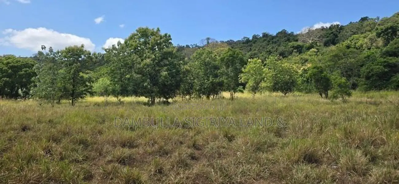 Land for Sale in Dambulla