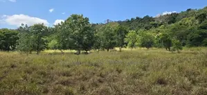 Land for Sale in Dambulla