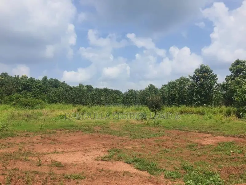 දඹුල්ලෙන් ඉඩමක් විකිණීමට