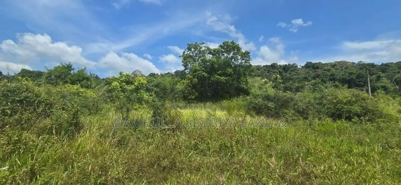දඹුල්ල නුවර ප්‍රධාන මාර්ගයට සමීපයෙන් ඉඩමක් විකිණීමට-Land For Sale