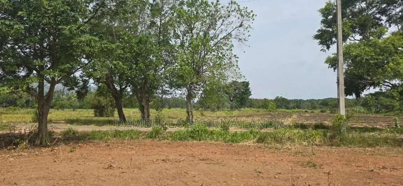 Land for Sale in Dambulla - දඹුල්ලෙන් ඉඩමක් විකිණීමට