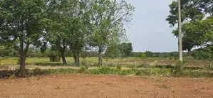 Land for Sale in Dambulla - දඹුල්ලෙන් ඉඩමක් විකිණීමට