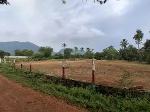 දඹුල්ල නුවර පාරට නුදුරින් නගරසභා සීමාවෙන්ම ඉඩම්