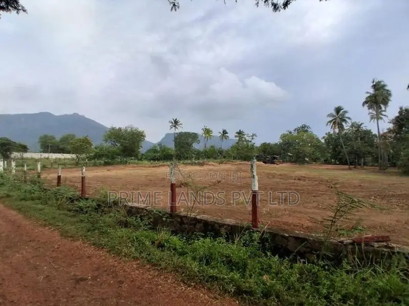 දඹුල්ල නුවර පාරට නුදුරින් නගරසභා සීමාවෙන්ම ඉඩම්