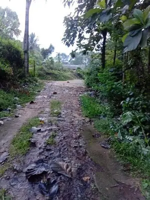 50 Perch Land for Sale – Kurunegala