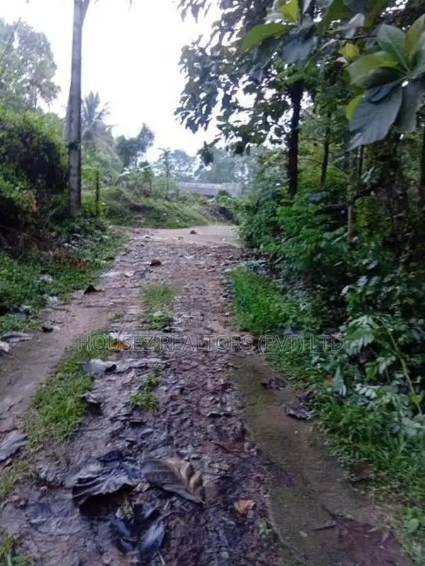 50 Perch Land for Sale – Kurunegala
