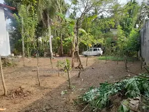 15P Valuable Residential Land for Sale in Weliweriya