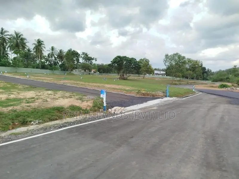 හෝමාගම බෙරුකැටිය බිම් කොටස් විකිණීමට
