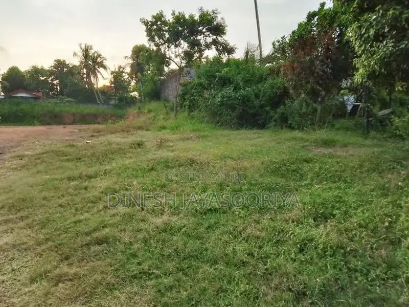 Prime 100 Perches Land for Sale in Ekala, Ja-Ela