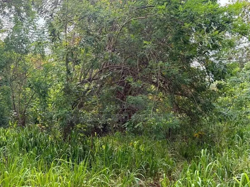 Land for Sale in Sigiriya