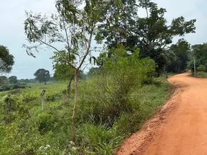 Land for Sale in Sigiriya