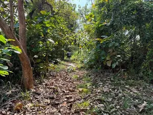 Land for Sale in Sigiriya