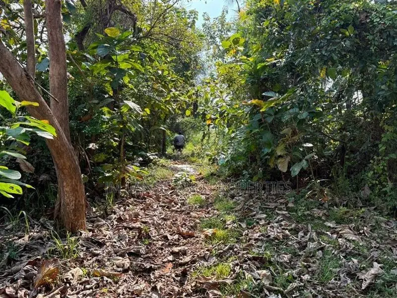 Land for Sale in Sigiriya
