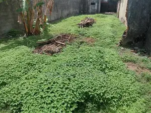 Super Land for Sale Dehiwala
