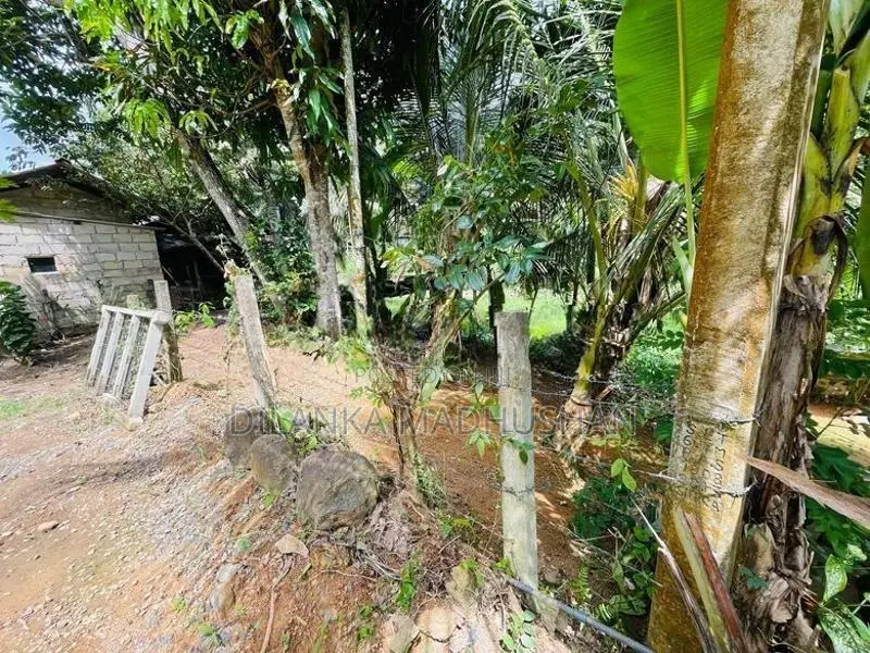 මාතර - ඌරුබොක්ක ප්‍රධාන පාරට මුහුණලා දම්පහල නගරයෙන් ඉඩමක් විකිණීමට