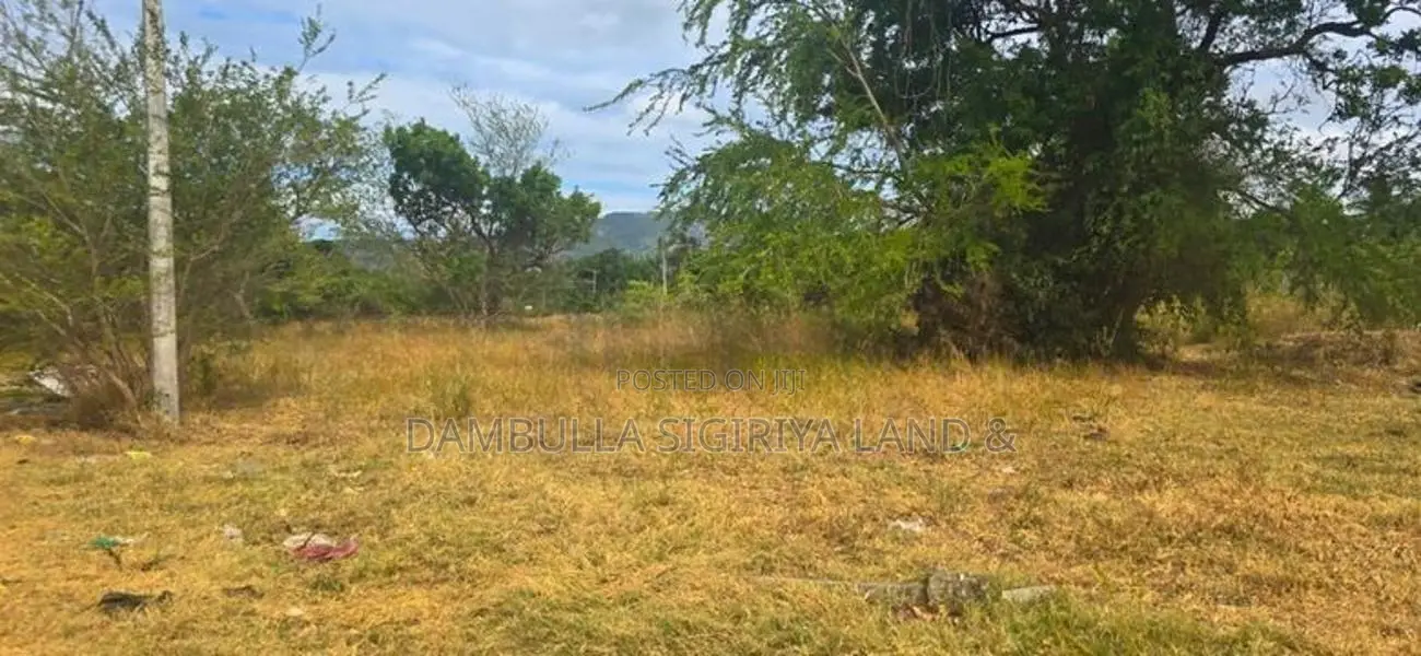 Land for Sale in Dambulla-දඹුල්ලෙන් ඉඩමක් විකිණීමට