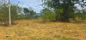 Land for Sale in Dambulla-දඹුල්ලෙන් ඉඩමක් විකිණීමට