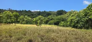 Land for Sale in Dambulla