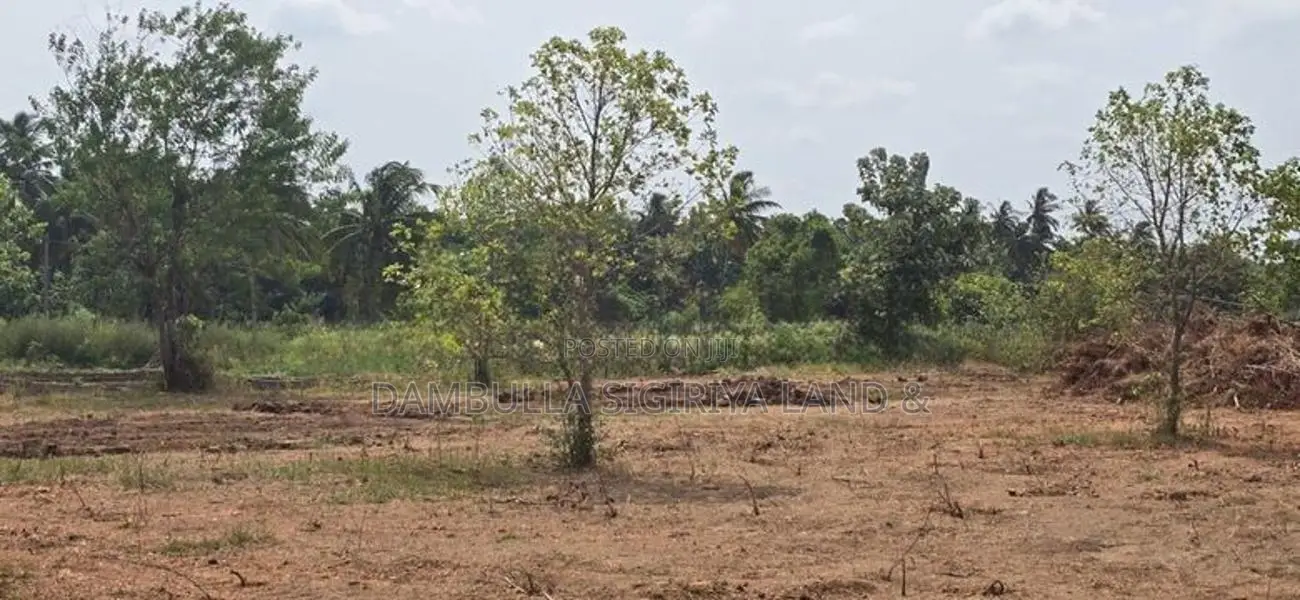 Land for Sale in Dambulla - දඹුල්ලෙන් ඉඩමක් විකිණීමට