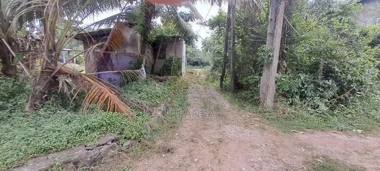 20 Perch Land Near CBL Ranala