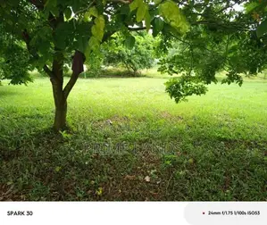 Land for Sale Kaduwala