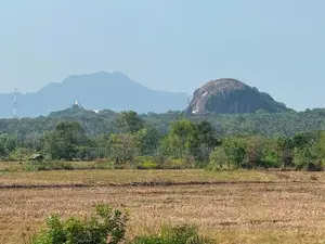 Land for Sale in Sigiriya