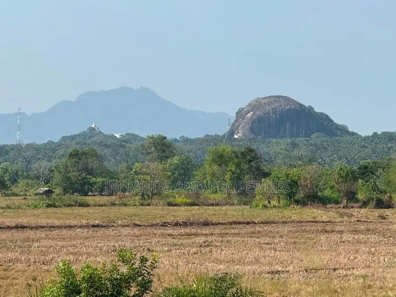 Land for Sale in Sigiriya