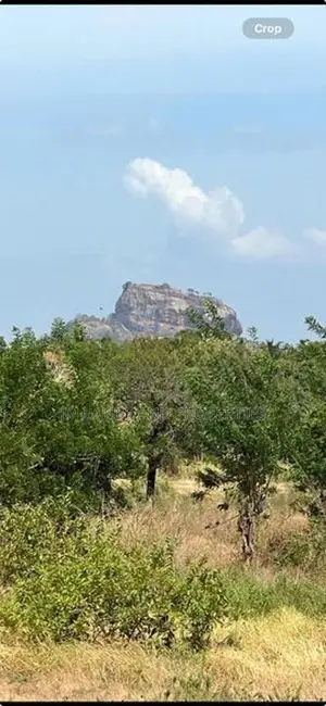 Land for Sale in Sigiriya