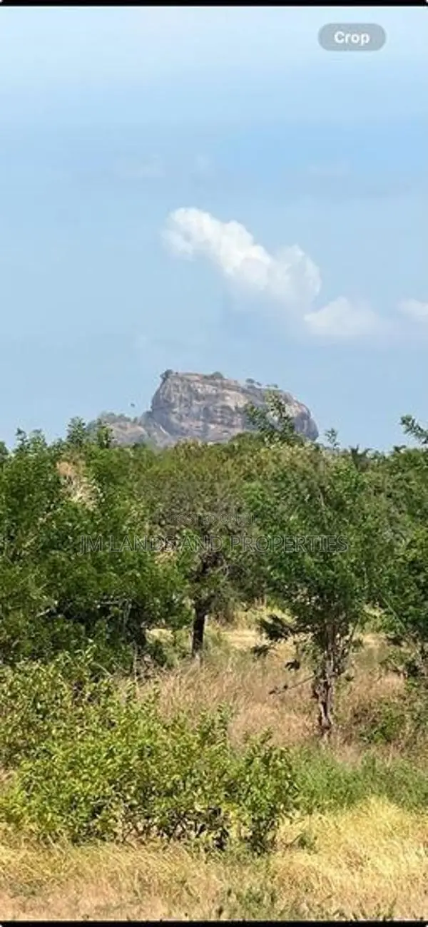 Land for Sale in Sigiriya