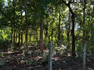 Land for Sale in Habaran