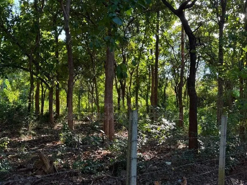 Land for Sale in Habaran
