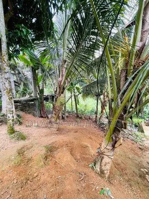 මාතර - ඌරුබොක්ක ප්‍රධාන පාරට මුහුණලා දම්පහල නගරයෙන් ඉඩමක් විකිණීමට