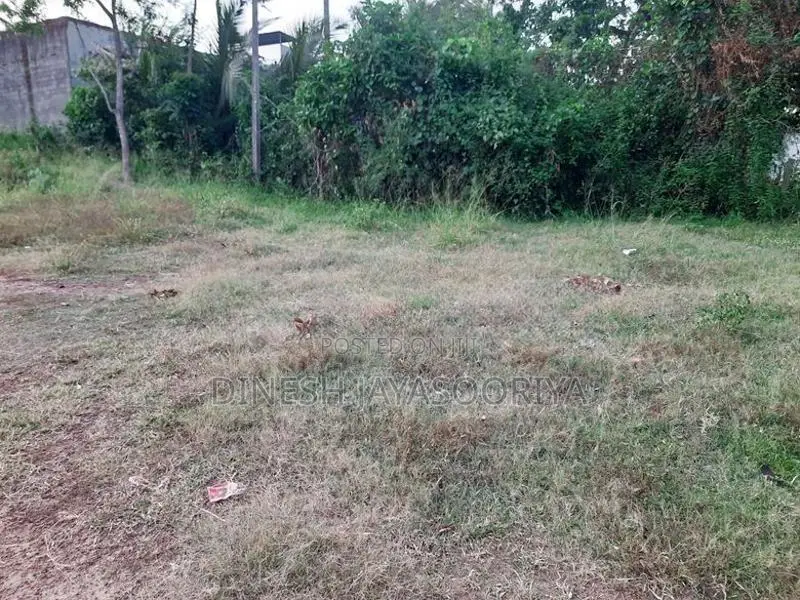 Prime 100 Perches Land for Sale in Ekala, Ja-Ela