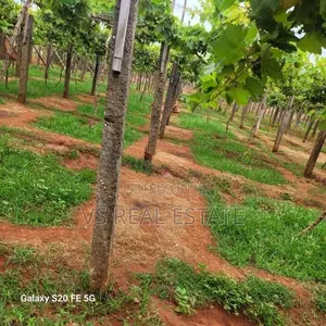 காணி விற்பனைக்கு – நவிக்கிரி பகுதியில் அமைந்துள்ள சிறந்த இடம்