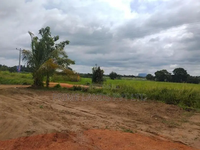 නාච්චාදූව වැව පාරෙන් සින්නක්කර බිම්කොටස්