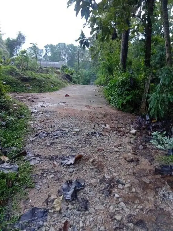 50 Perch Land for Sale – Kurunegala