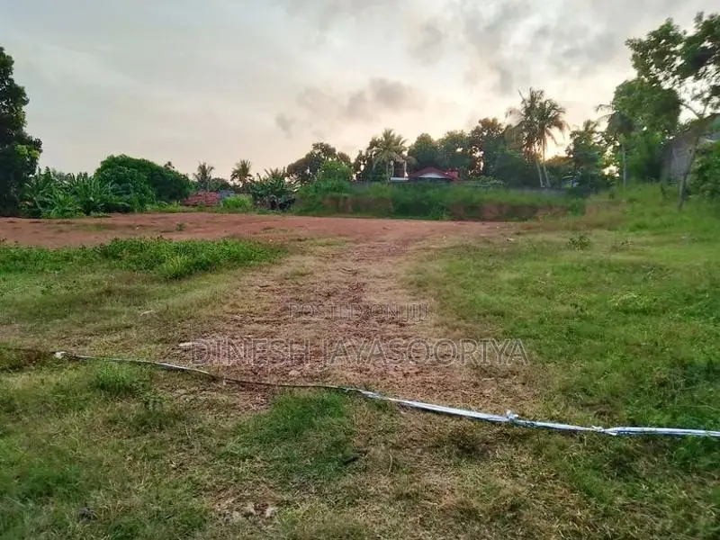 Prime 100 Perches Land for Sale in Ekala, Ja-Ela