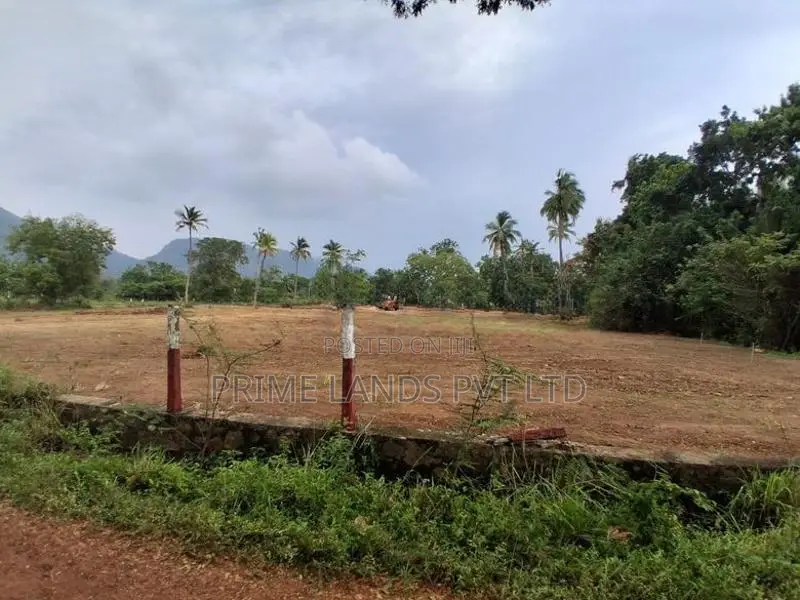 දඹුල්ල නුවර පාරට නුදුරින් නගරසභා සීමාවෙන්ම ඉඩම්