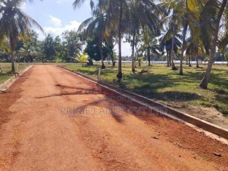 නාච්චාදූව වැව පාරෙන් සින්නක්කර බිම්කොටස්