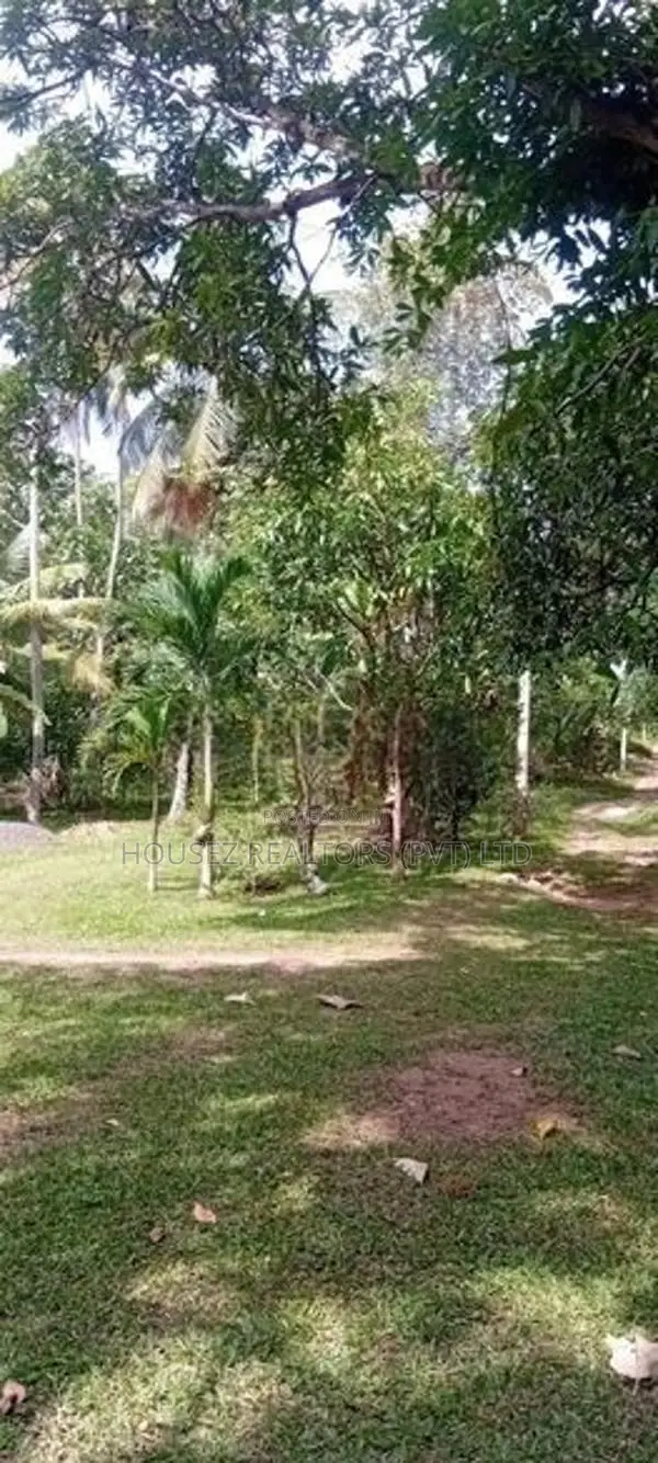 50 Perch Land for Sale – Kurunegala